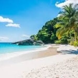 Meet The Posher 🩷